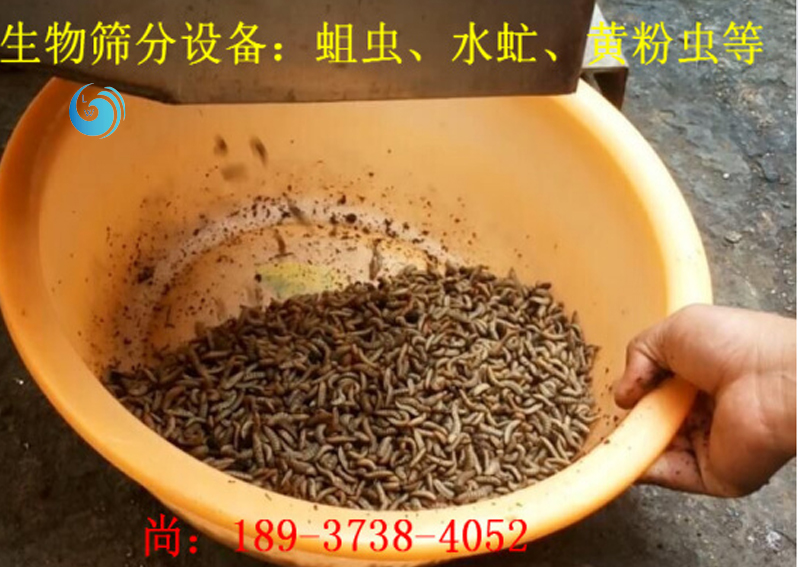 蛆虫筛选3层黄瓜视频成年污下载